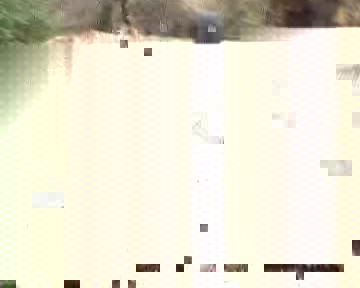 mbrcriw42